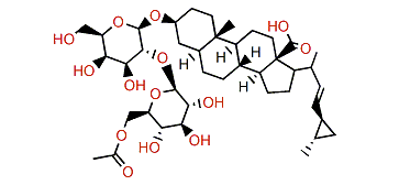 Scrobiculoside A